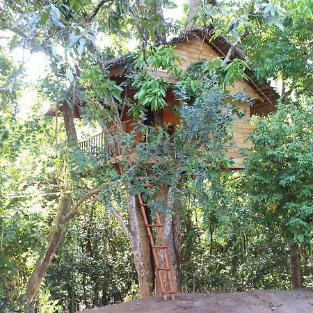 Villa Tree House-Midigama Weligama Exterior foto