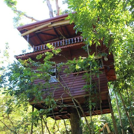Villa Tree House-Midigama Weligama Exterior foto