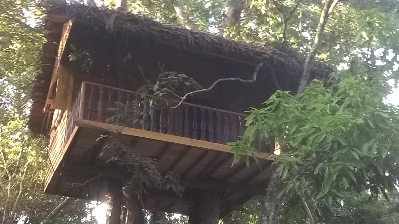 Villa Tree House-Midigama Weligama Exterior foto