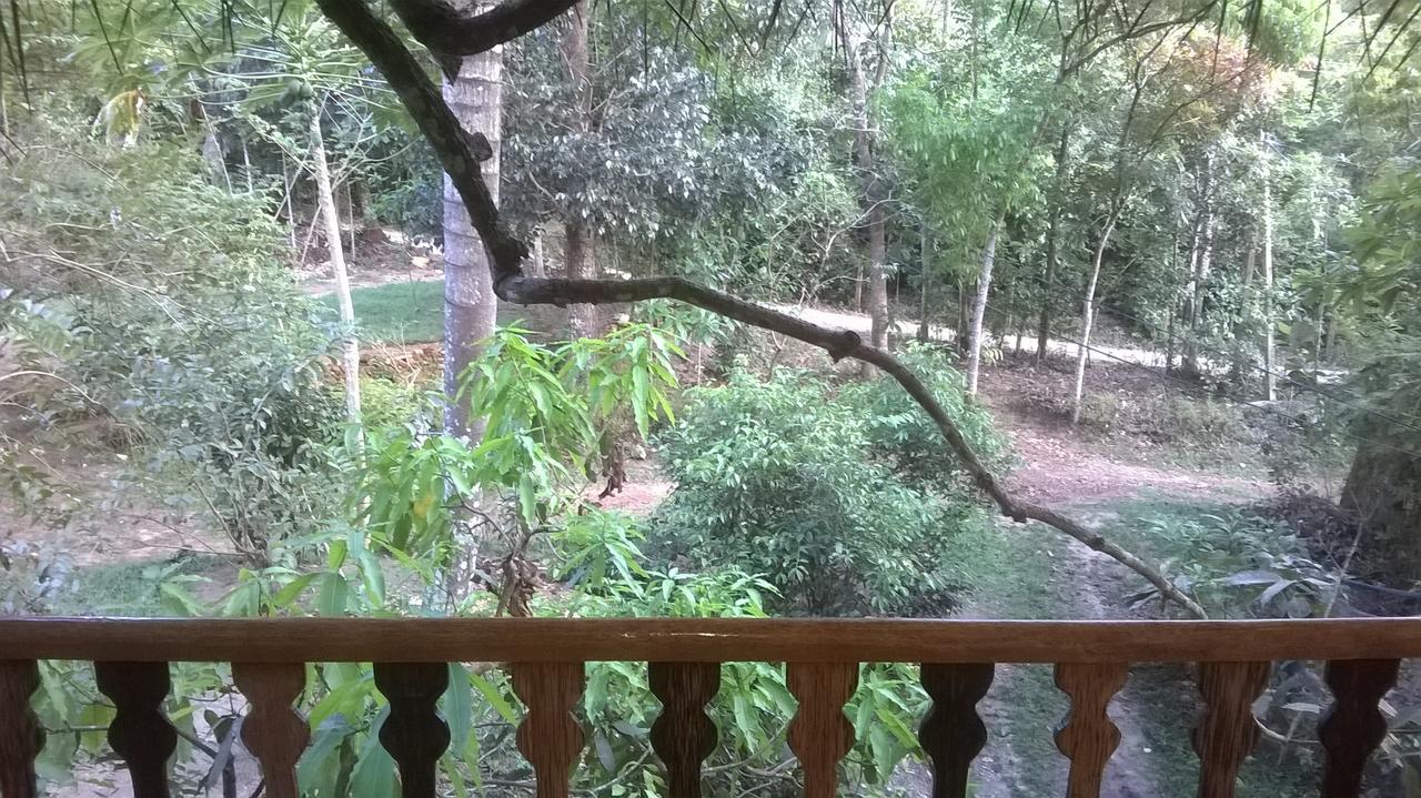 Villa Tree House-Midigama Weligama Exterior foto