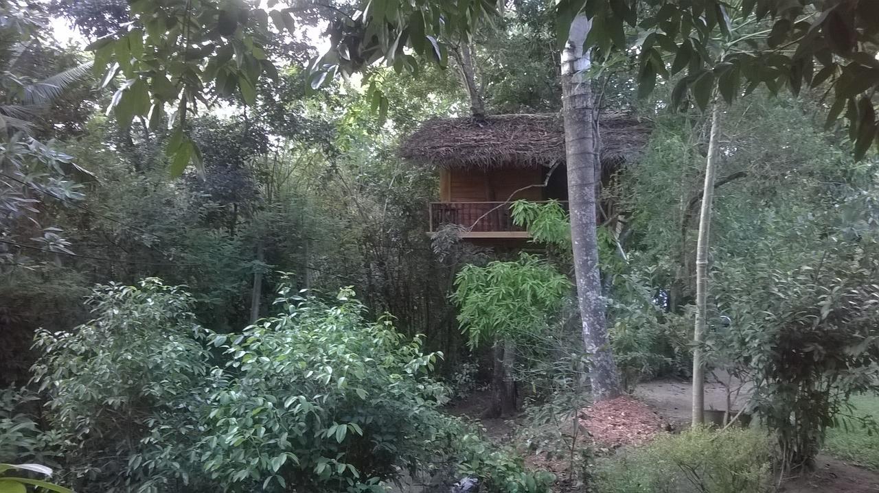 Villa Tree House-Midigama Weligama Exterior foto