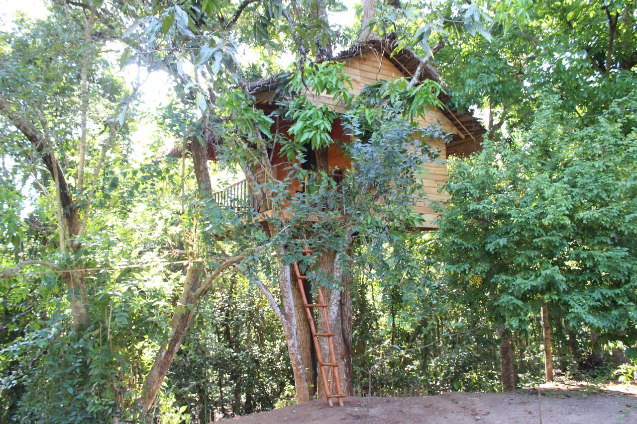 Villa Tree House-Midigama Weligama Exterior foto