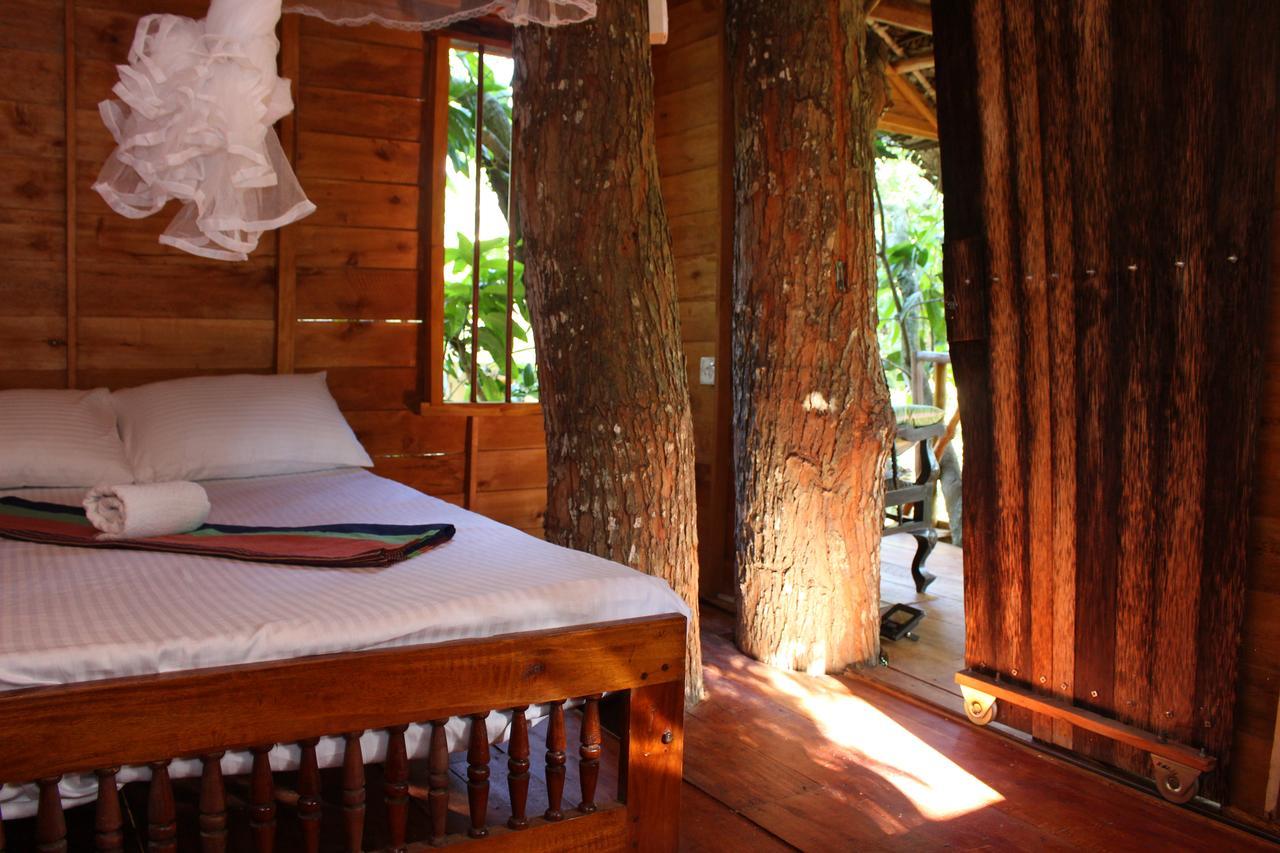 Villa Tree House-Midigama Weligama Exterior foto