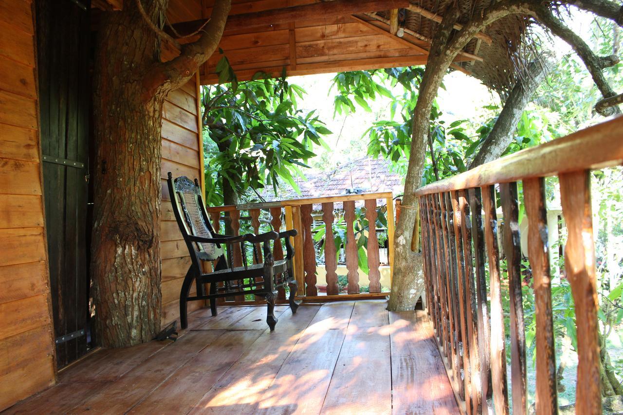 Villa Tree House-Midigama Weligama Exterior foto