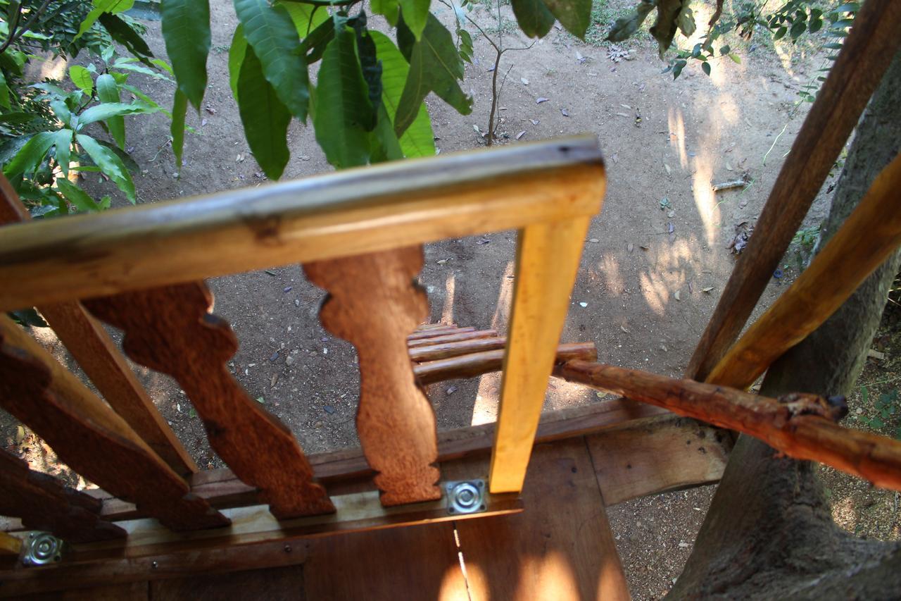 Villa Tree House-Midigama Weligama Exterior foto