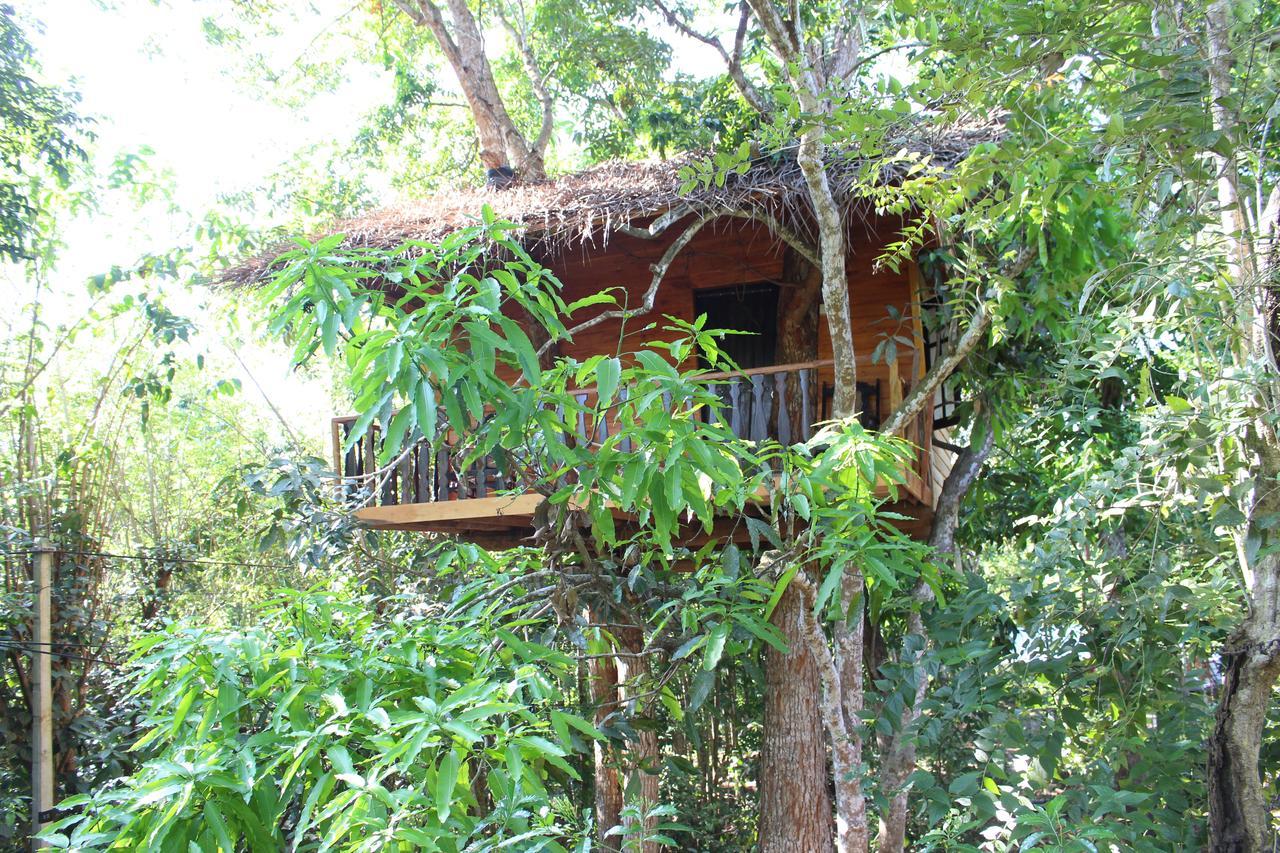 Villa Tree House-Midigama Weligama Exterior foto
