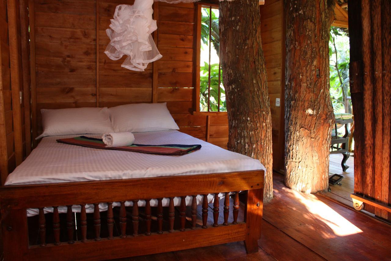 Villa Tree House-Midigama Weligama Exterior foto