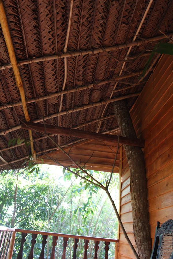 Villa Tree House-Midigama Weligama Exterior foto