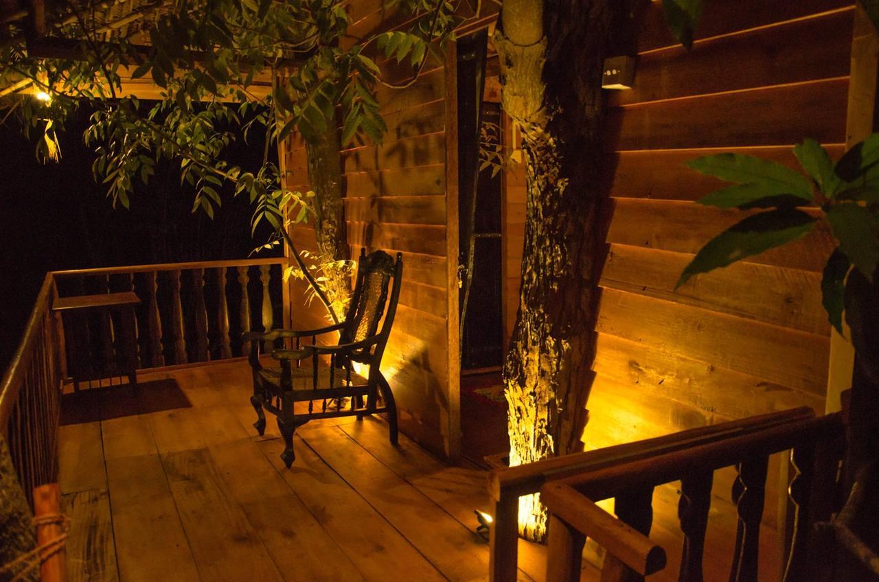 Villa Tree House-Midigama Weligama Exterior foto