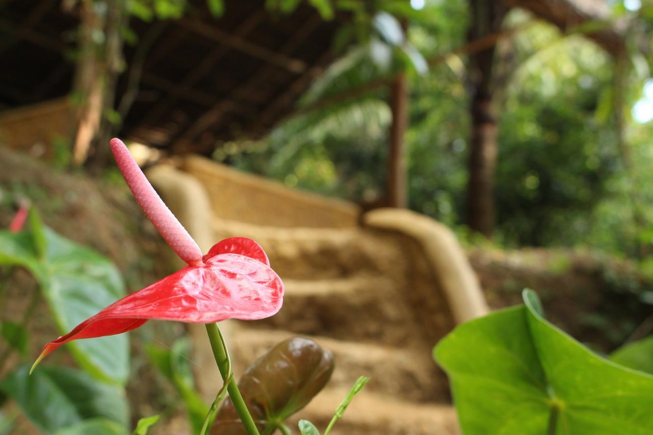 Villa Tree House-Midigama Weligama Exterior foto