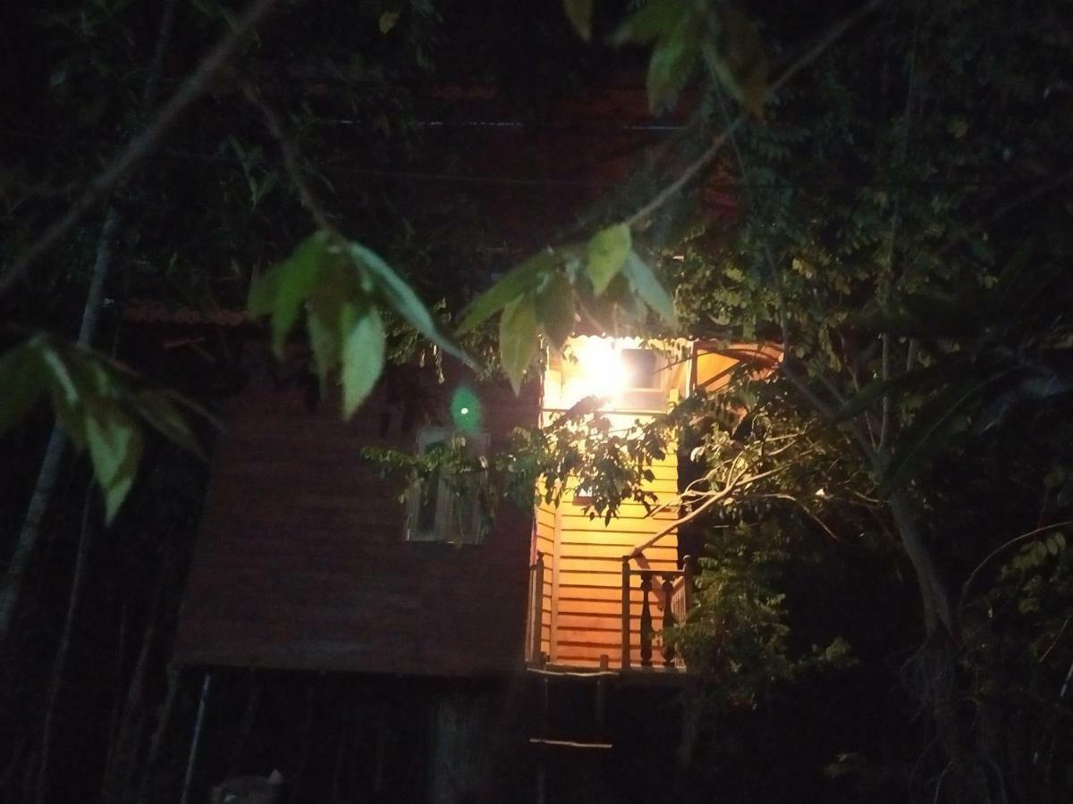 Villa Tree House-Midigama Weligama Exterior foto