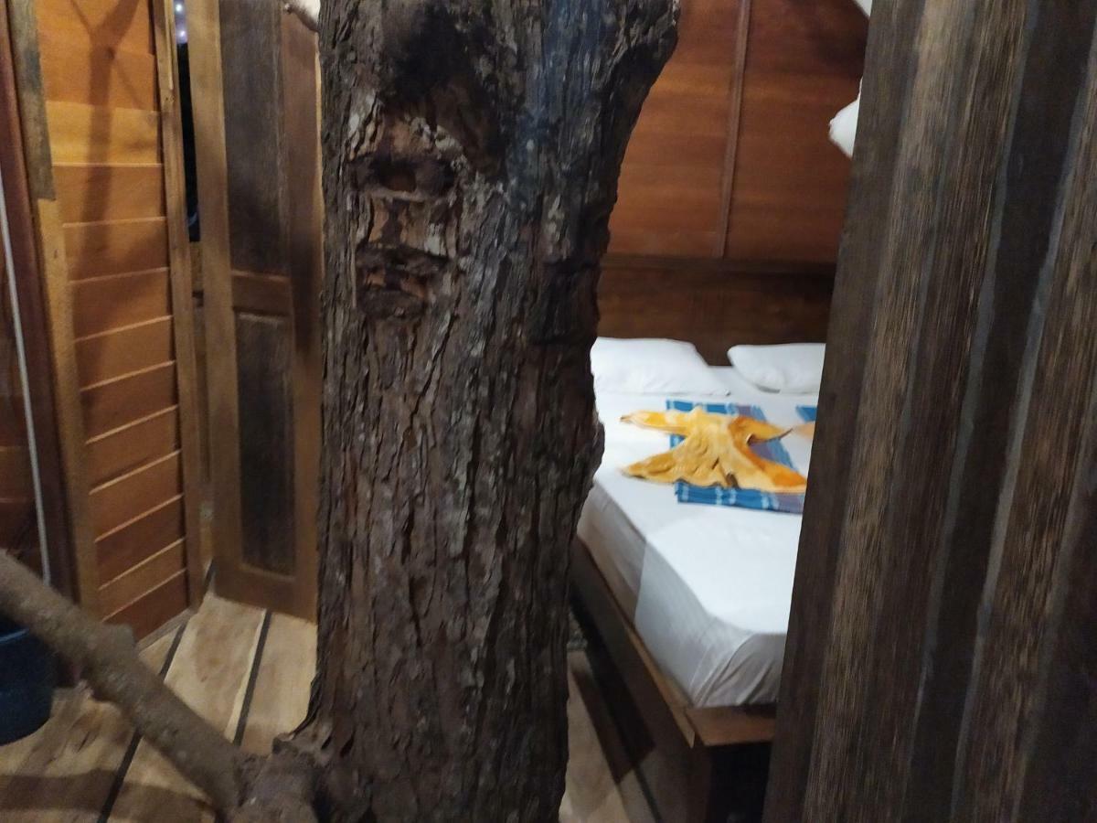 Villa Tree House-Midigama Weligama Exterior foto