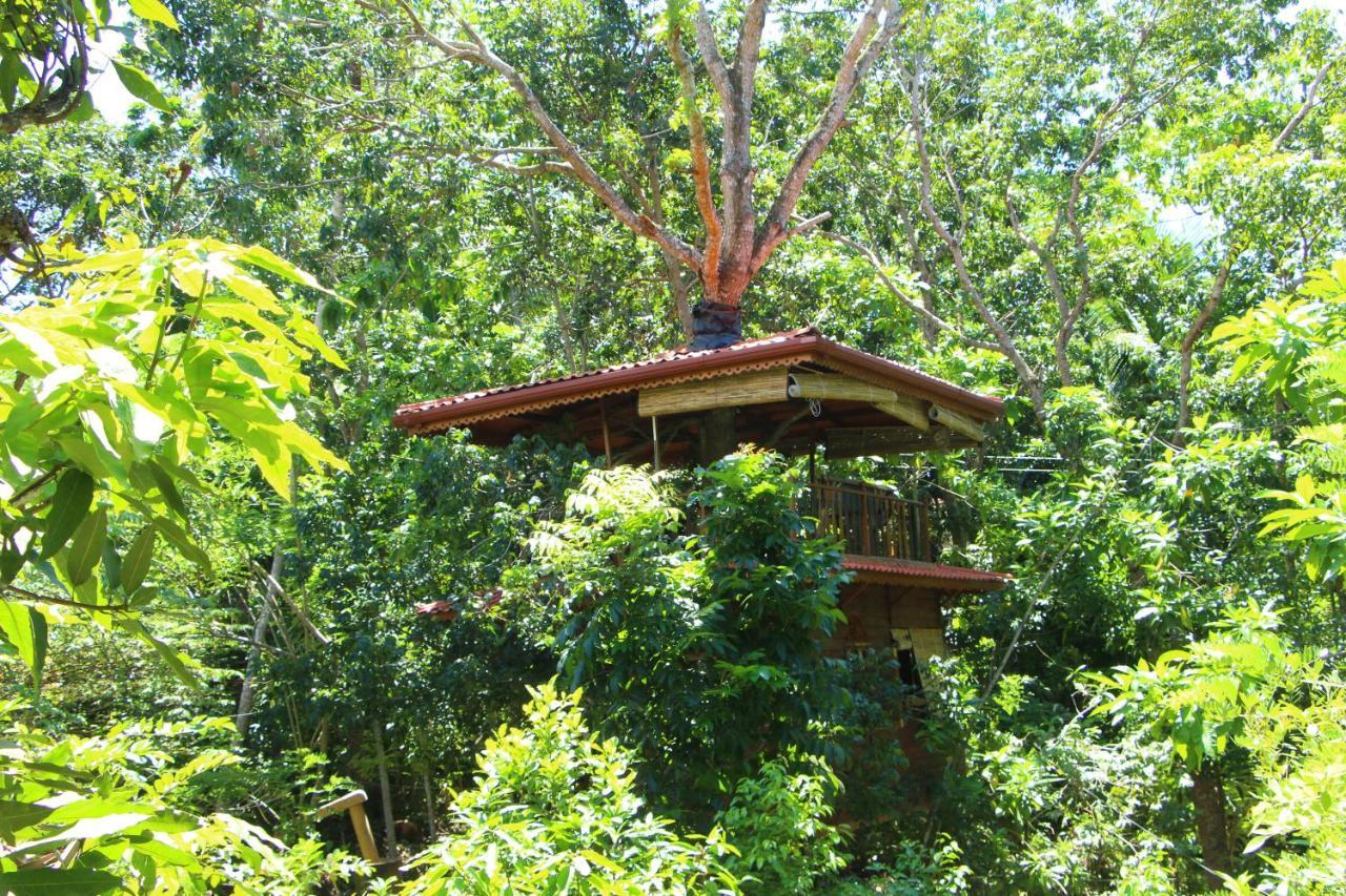 Villa Tree House-Midigama Weligama Exterior foto
