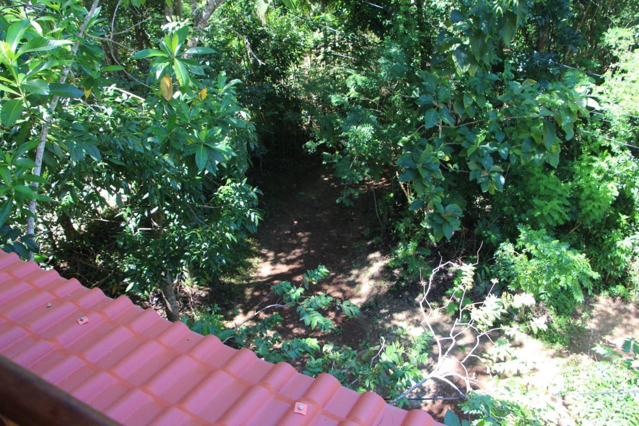 Villa Tree House-Midigama Weligama Exterior foto