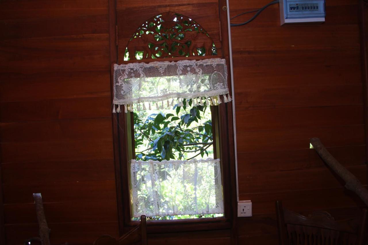 Villa Tree House-Midigama Weligama Exterior foto