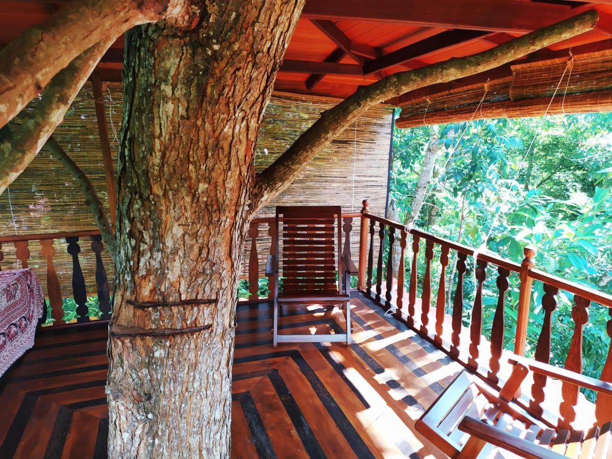Villa Tree House-Midigama Weligama Exterior foto