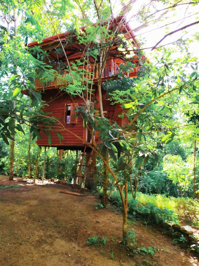 Villa Tree House-Midigama Weligama Exterior foto
