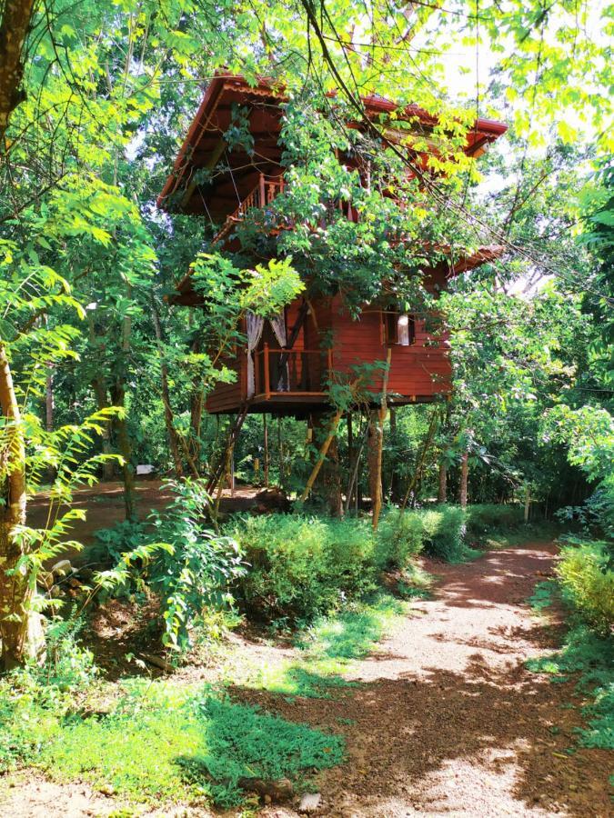 Villa Tree House-Midigama Weligama Exterior foto